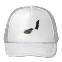 cats_and_snow_ (4) trucker hats