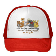 Cats are like potato chips hats