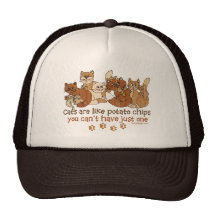 Cats are like potato chips hats