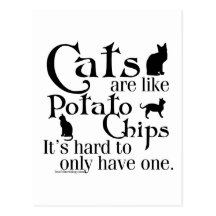 Cats are like potato chips... post cards