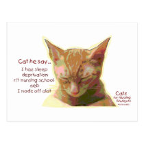 Cats for Nursing Students - Sleep Deprivation postcards