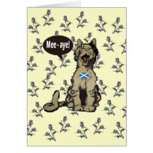 Cats for Scottish Independence Card