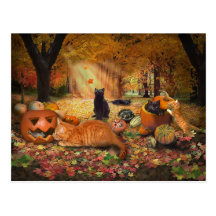 Cats in Autumn Postcard