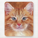 CATS mousepads