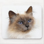 CATS mousepads
