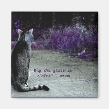 Cat's Philosophy Magnets