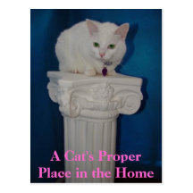 Cat's Proper Place in the Home Post Card