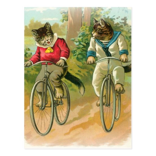 Cats Riding Bikes Post Card