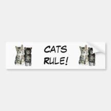 Cats Rule Bumper Sticker
