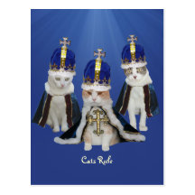 Cats Rule Post Card