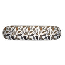 Cats Skateboards