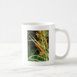 Cattail at Sunset Mugs