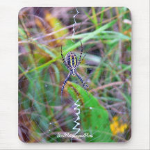 Cattail Spider Mouse Pads