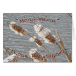 Cattails Merry Christmas Card