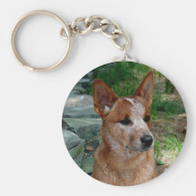 Cattle Dog Key Chains
