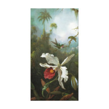 Cattleya Orchid Wrapped Canvas Canvas Print