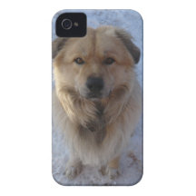 Caucasian Sheepdog iPhone 4 Covers