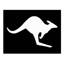 Caution Kangaroo Post Card