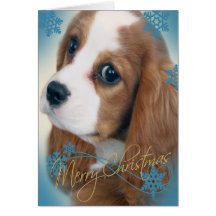 Cavalier King Charles Christmas Greeting card