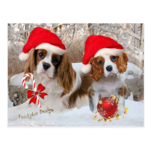 Cavalier King Charles Snow Scene Postcards