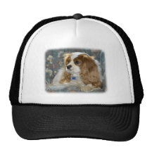 Cavalier King Charles Spaniel 8R16D-01 Hat