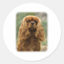 Cavalier King Charles Spaniel 9F51D-10 Stickers