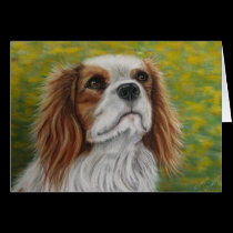 Cavalier King Charles Spaniel Art - Addie - cards