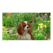 Cavalier King Charles Spaniel BreederBusiness Card