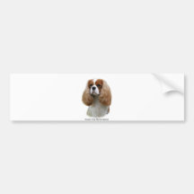 Cavalier King Charles Spaniel Bumper Stickers