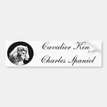 Cavalier king charles spaniel bumpersticker bumper stickers