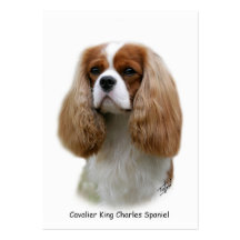 Cavalier King Charles Spaniel Business Card Templates