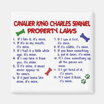 CAVALIER KING CHARLES SPANIEL Property Laws 2 Fridge Magnets