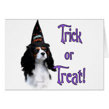Cavalier King Charles Spaniel Trick Greeting Card