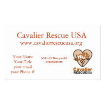 Cavalier Rescue dogs outside Business Card Template