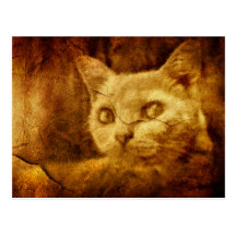 Cave Painting Postcard