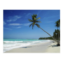 Cayman Island Beach Postcards