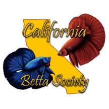 CBS Magnet Acrylic Cut Outs