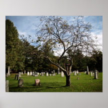 Cemetery Tree Posters