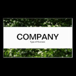 Center Band  - Wild Garlic business cards