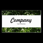 Center Band  - Wild Garlic business cards