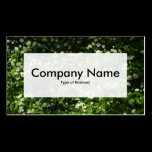 Center Label v3 - Wild Garlic business cards