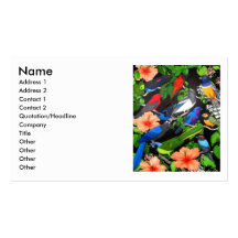 Central American Jungle Birds Profile Card Business Cards