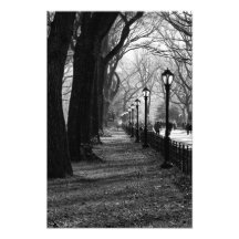 Central Park in New York City Photo