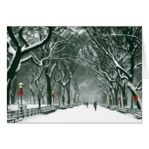 Central Park Snowy Path Cards