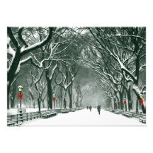 Central Park Snowy Path Invite