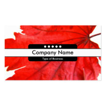 Centre Band 5 Spots Business Cards