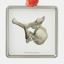 Cervical Vertebra Ornaments