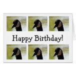 CGF Canada Goose Face Greeting Card