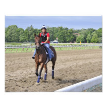 Chad Brown Morning Workouts at Saratoga Photo Art