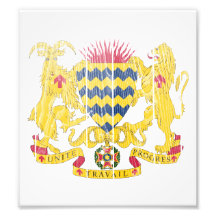 Chad Coat Of Arms Photo